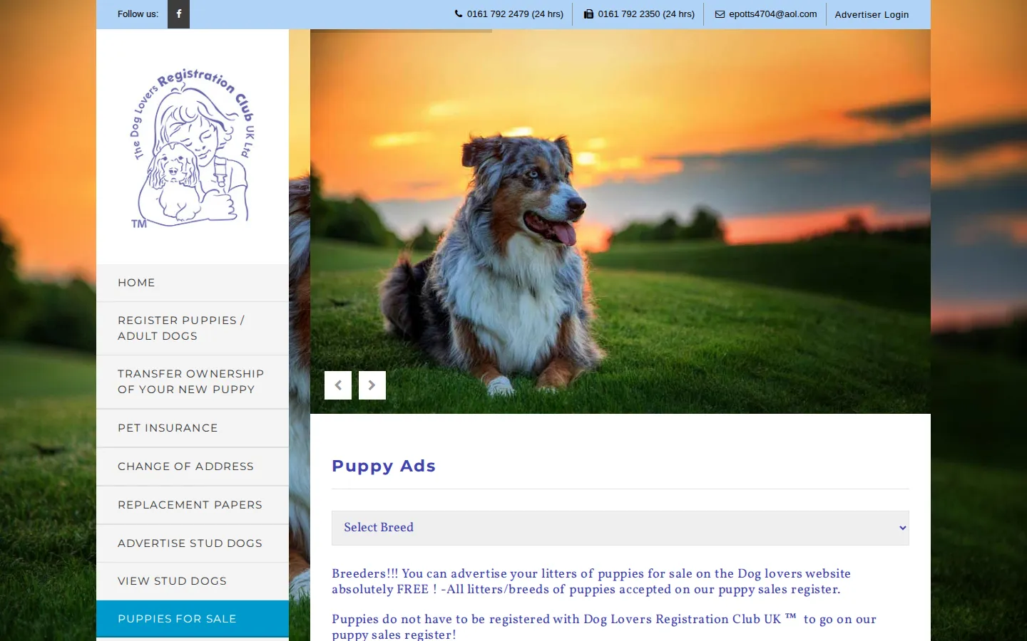 The puppy adverts page with a breed selector