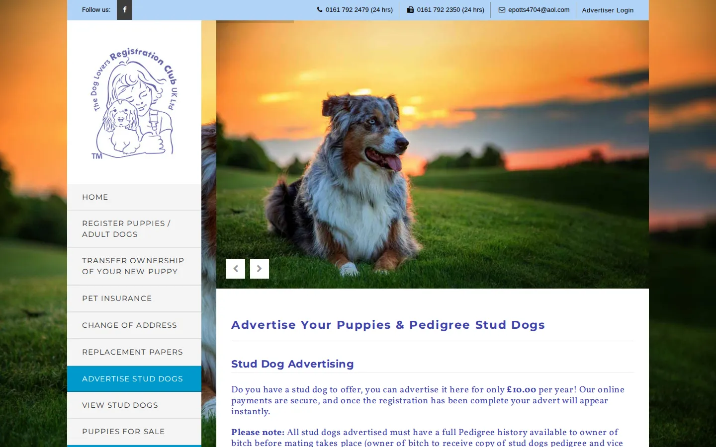 The page explaining stud dog and puppy advertising, with the advertiser sign-up form